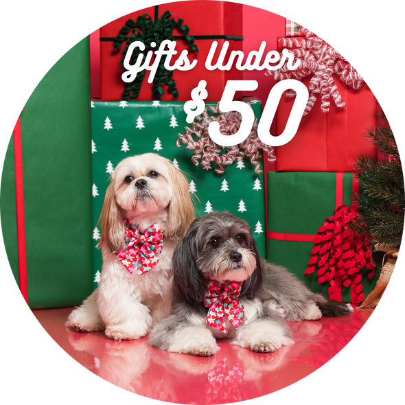 Gifts Under $50