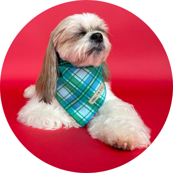 Northern Lights Plaid