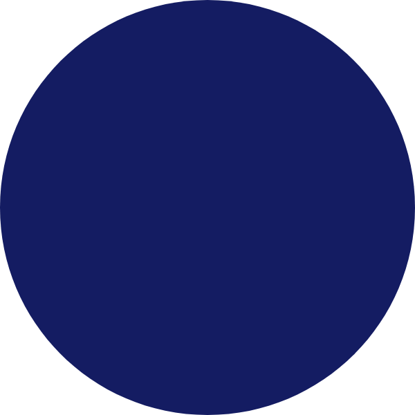 NAVY VELVET