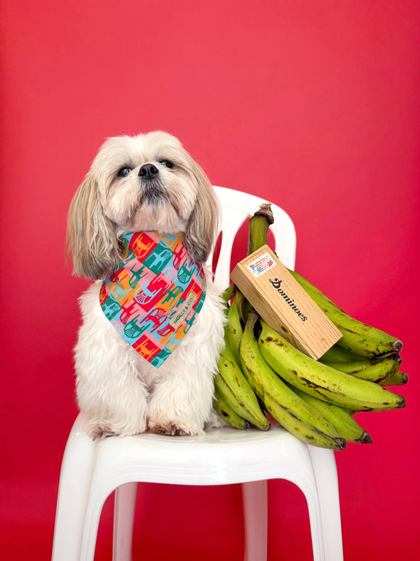 Doble Seis - Reversible Dog Bandana