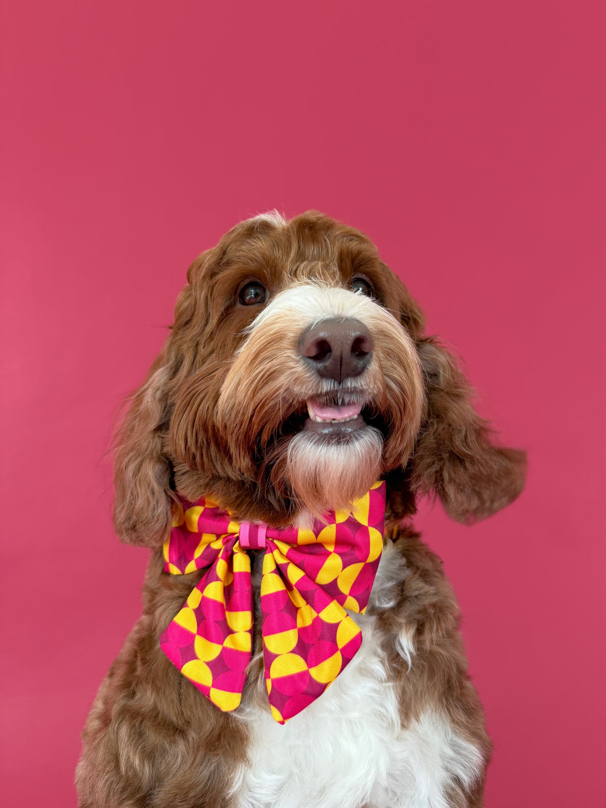Odessa - Dog Sailor Bowtie