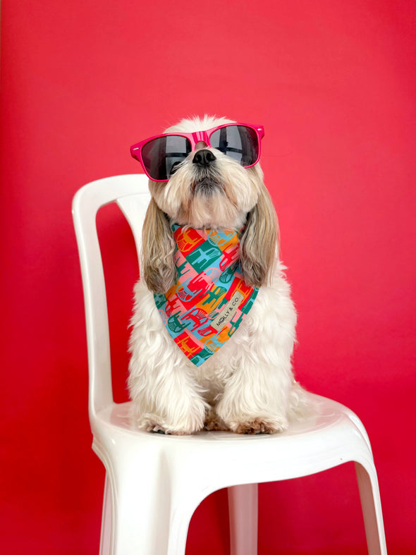 Doble Seis - Reversible Dog Bandana