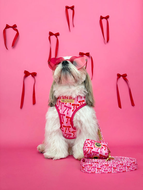 Coquette - Dog Poop Bag Holder