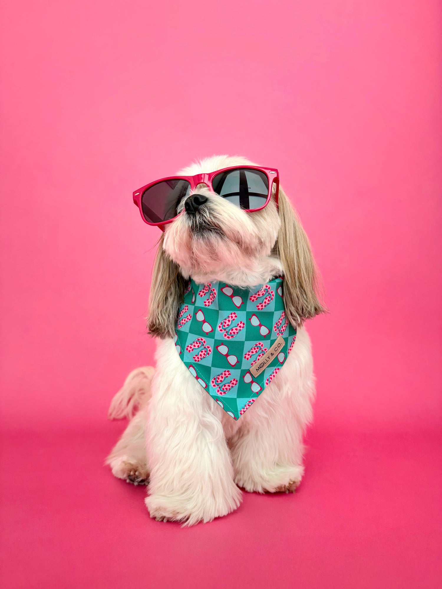 Sunkissed - Dog Bandana