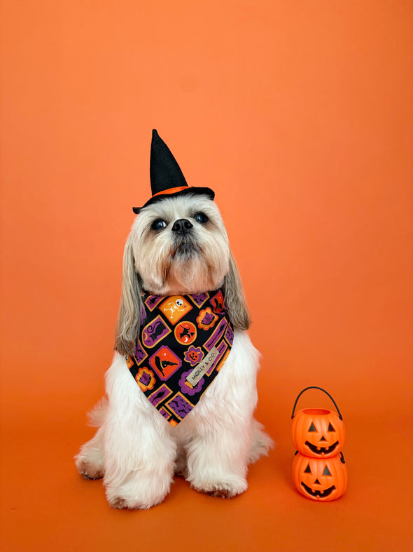 Stay Wicked - Reversible Dog Bandana