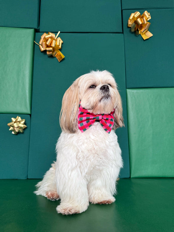 Giftwrap Plaid - Dog Bowtie