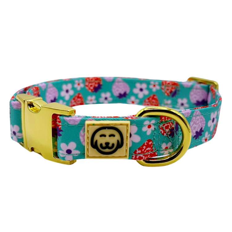 Strawberry - Dog Collar