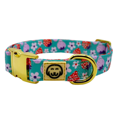 Strawberry - Dog Collar