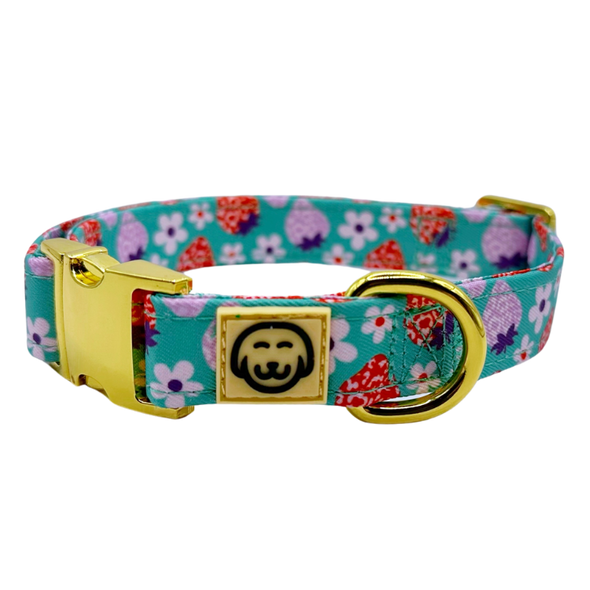 Strawberry - Dog Collar