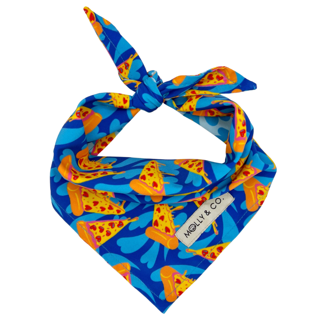 Pizza Lover - Reversible Dog Bandana