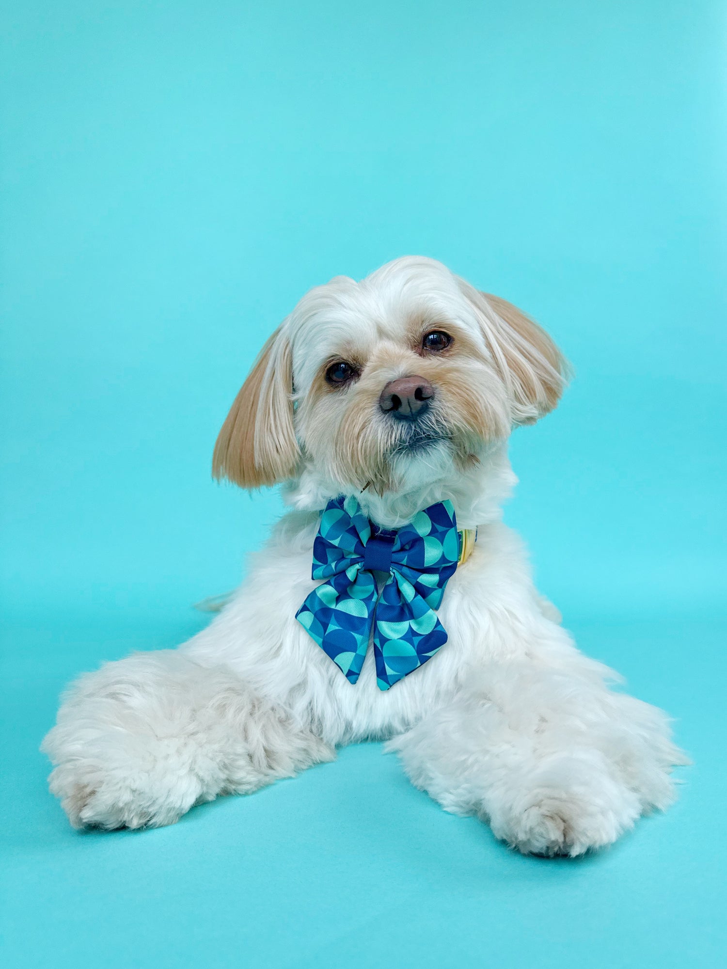Milos - Dog Sailor Bowtie