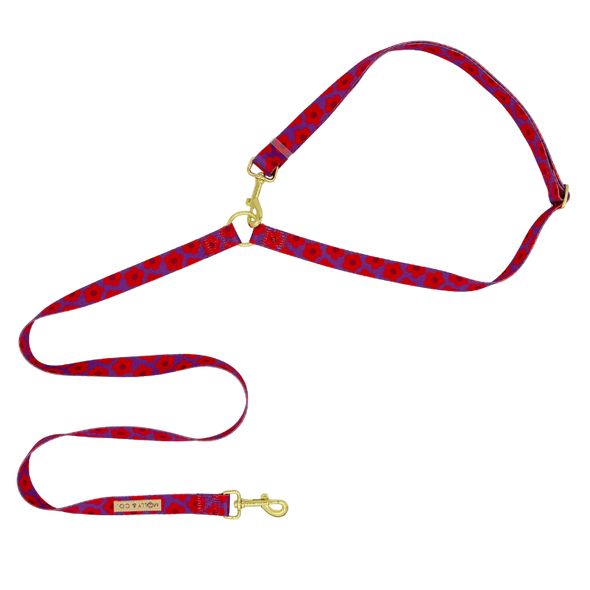 Mon Chéri - Handsfree Dog Leash