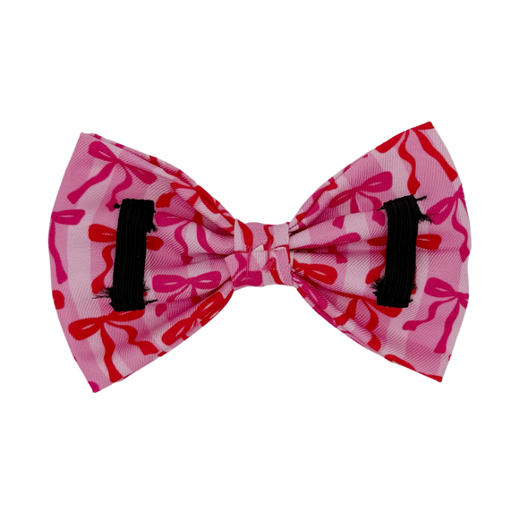 Coquette - Dog Bowtie