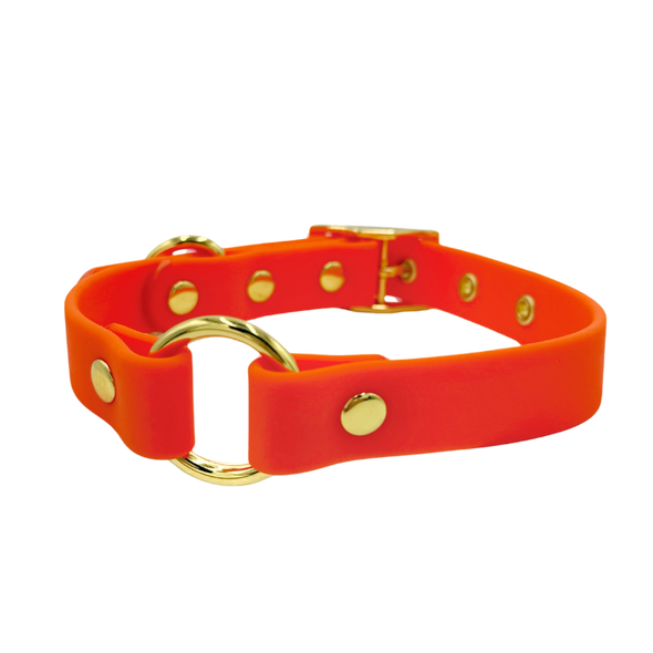 Sunburst - Splashproof Dog Collar