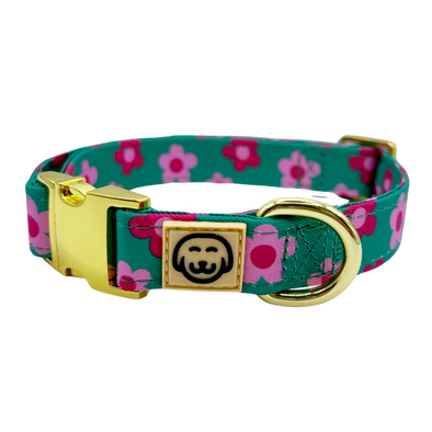 Petunia - Dog Collar