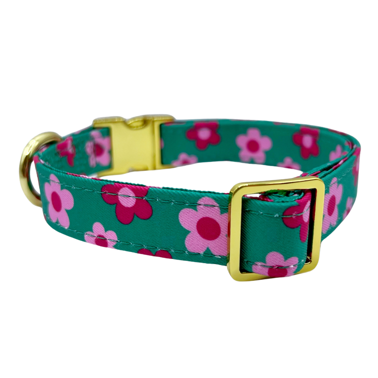 Petunia - Dog Collar