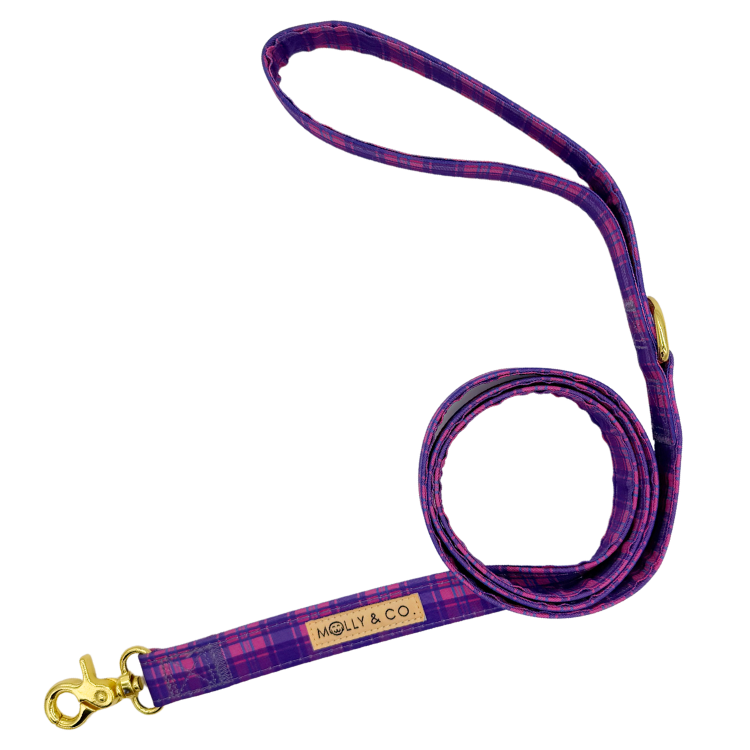 Pinkberry Plaid - Dog Leash