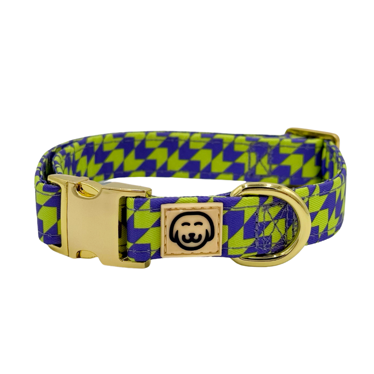 Fetch Master - Dog Collar