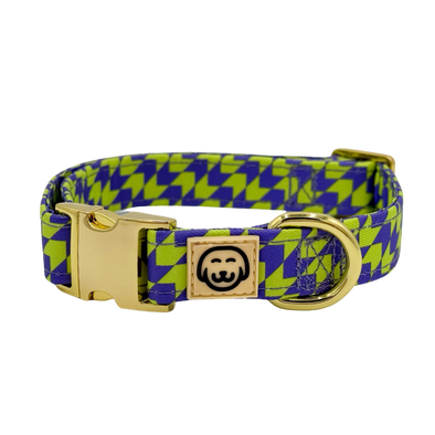 Fetch Master - Dog Collar