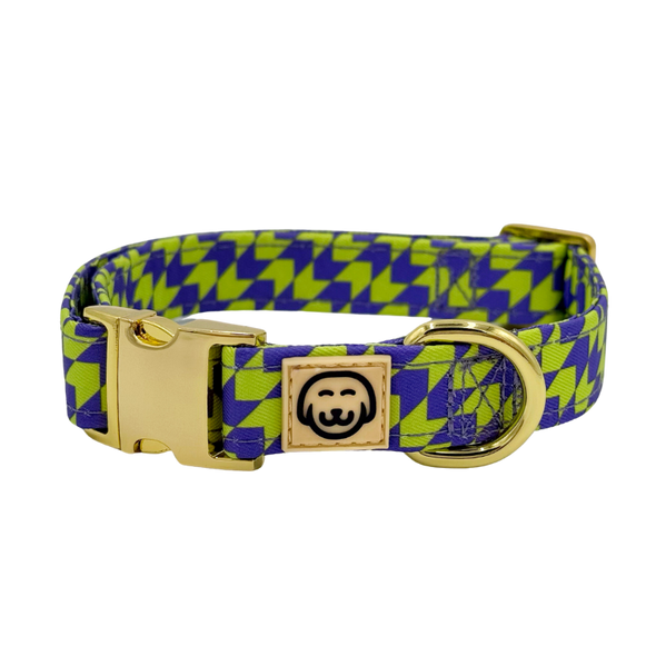 Fetch Master - Dog Collar