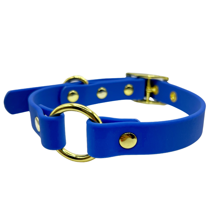 Zafiro - Splashproof Dog Collar
