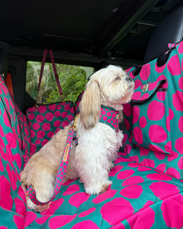 Polka Dogz - Dog Car Seat Cover