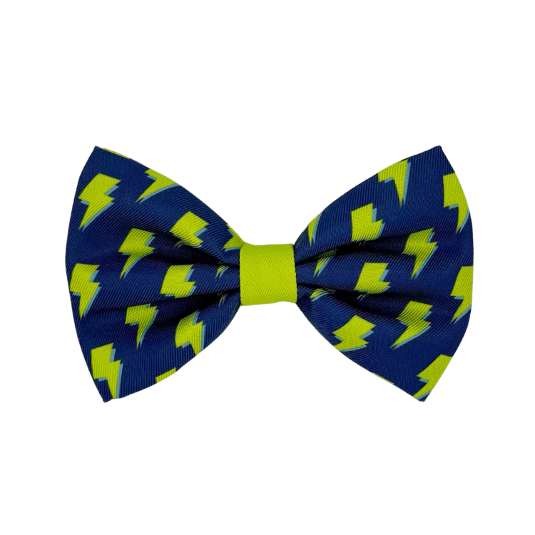 Bolt - Dog Bowtie