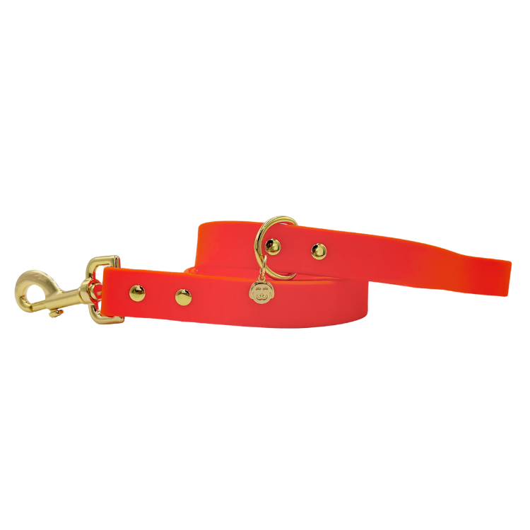 Sunburst - Splashproof Dog Leash