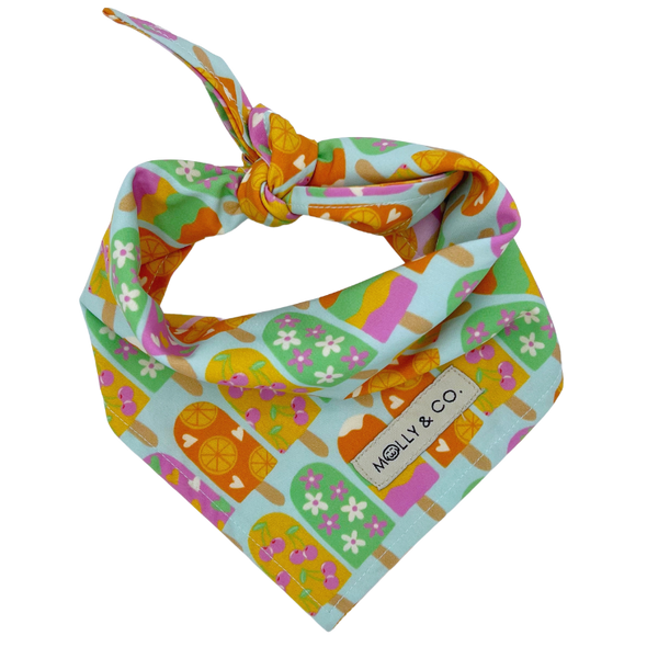 Ice Pop - Reversible Dog Bandana