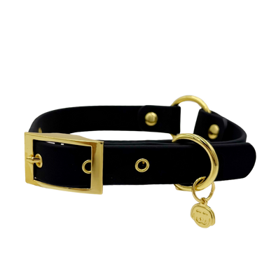 Midnight - Splashproof Dog Collar