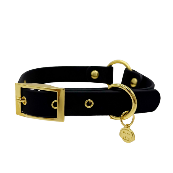 Midnight - Splashproof Dog Collar