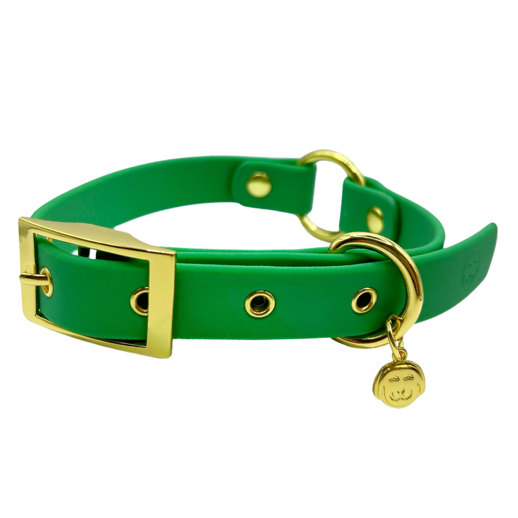 Ivy - Splashproof Dog Collar