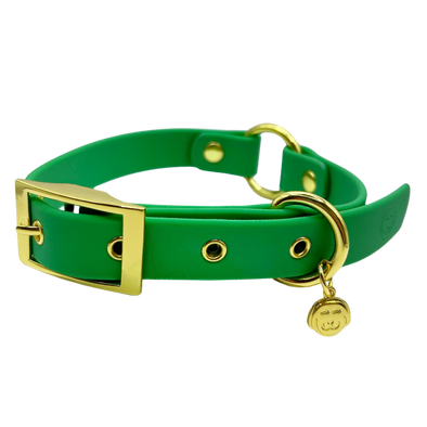 Ivy - Splashproof Dog Collar