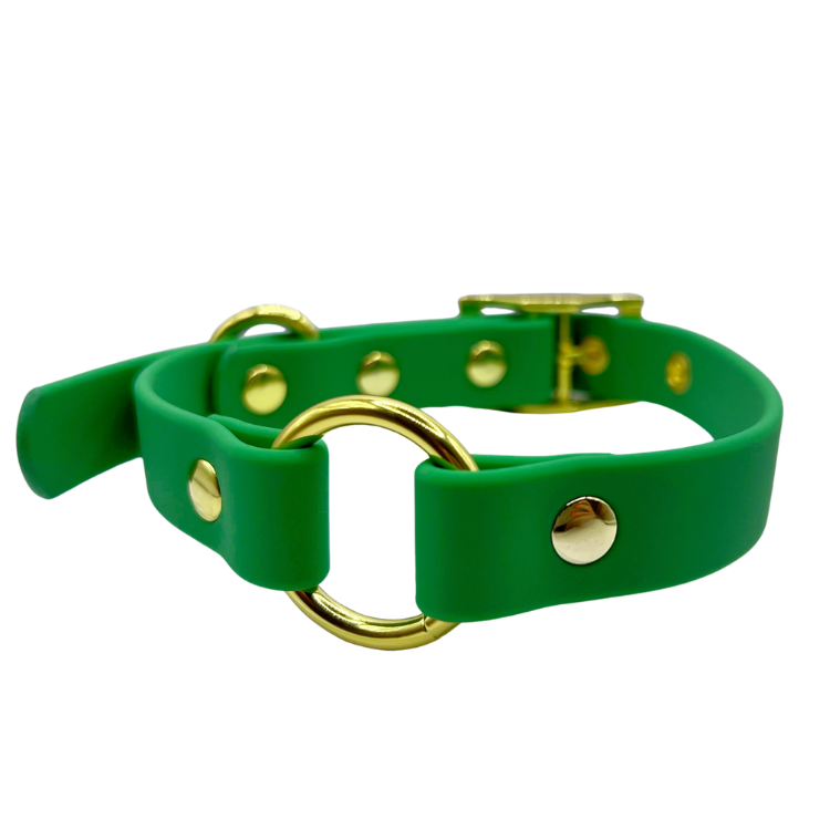 Ivy - Splashproof Dog Collar