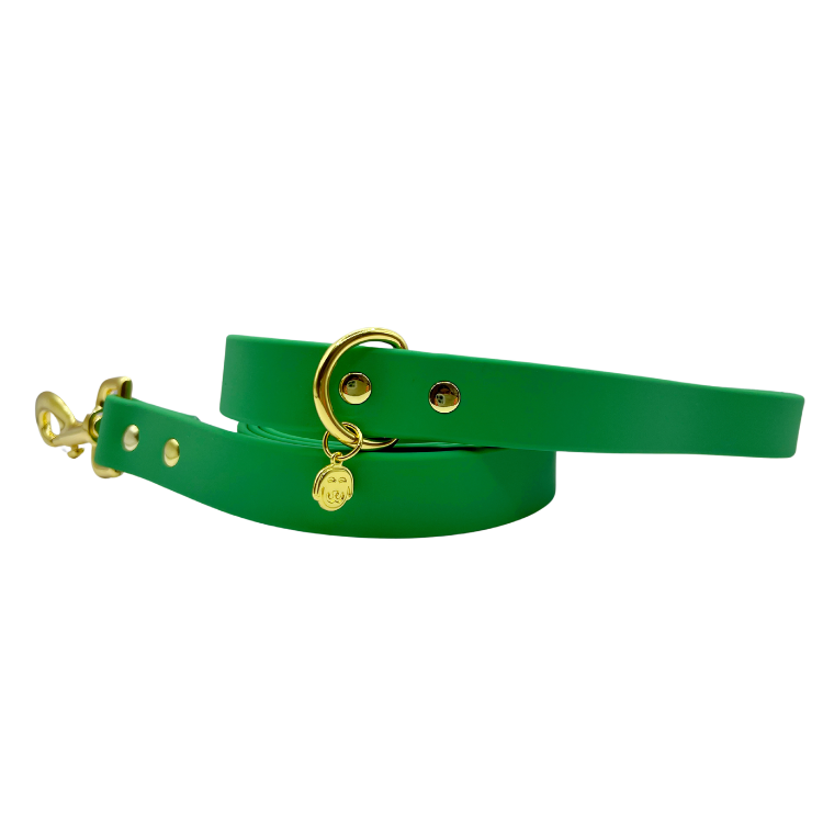 Ivy - Splashproof Dog Leash