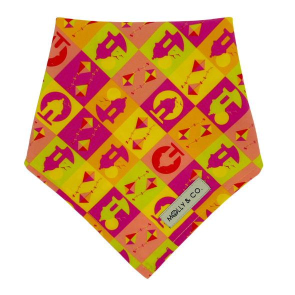 Pe Erre - Reversible Dog Bandana