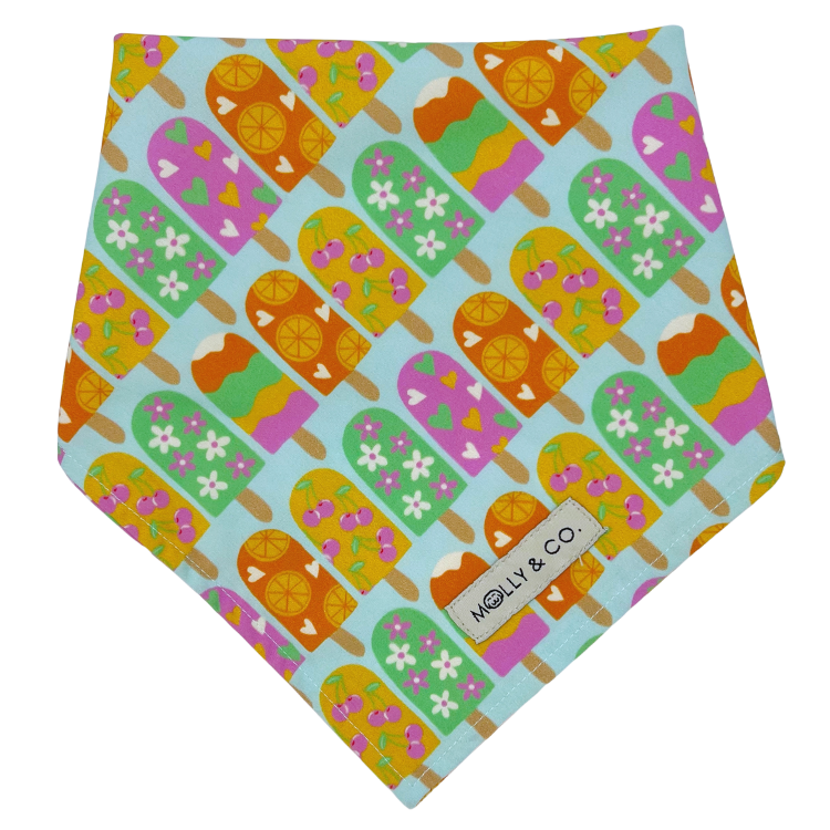 Ice Pop - Reversible Dog Bandana