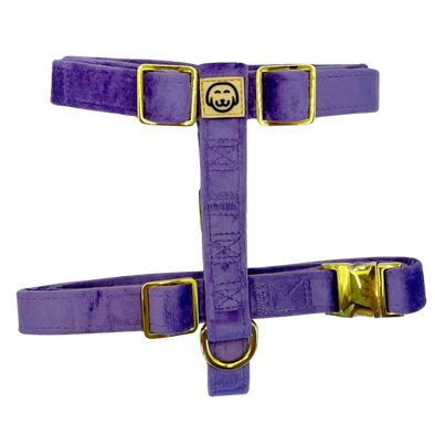 Violet Velvet - Adjustable Strap Dog Harness