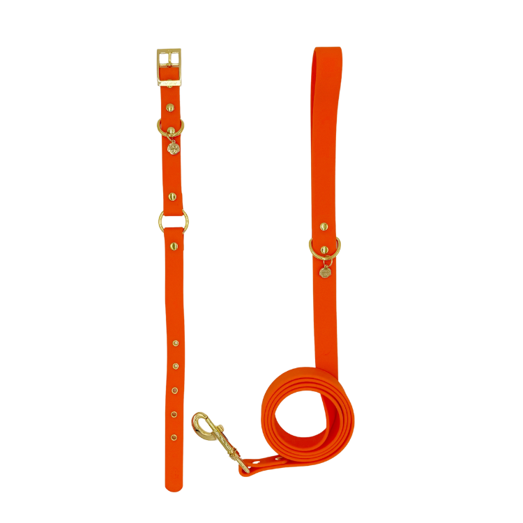 Sunburst - Splashproof Bundle