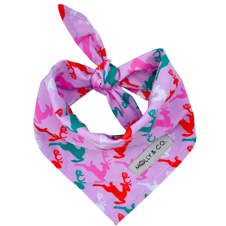 Reindeers + Merry - Reversible Dog Bandana