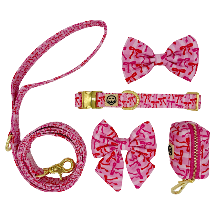 Deluxe Bundle - Coquette