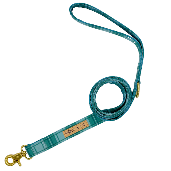 Northern Lights Plaid - Dog Leash