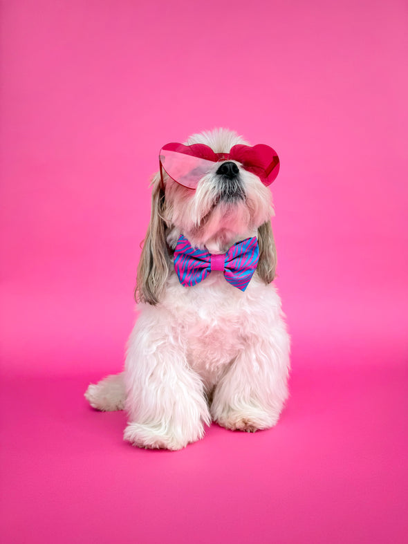 Malibu Doll - Dog Bowtie