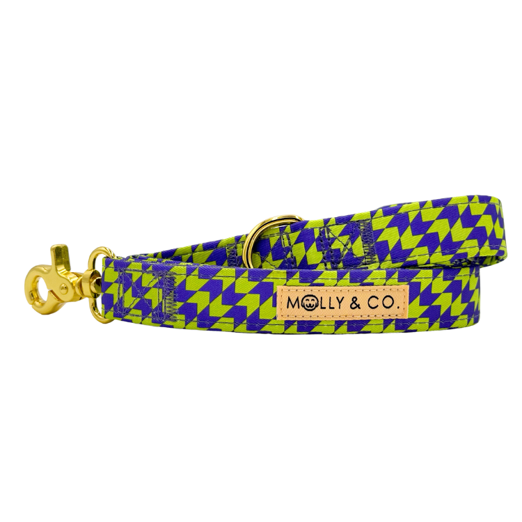 Fetch Master - Dog Leash