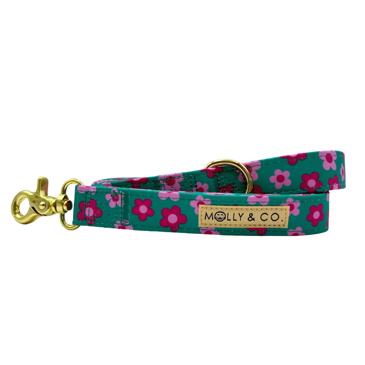 Petunia - Dog Leash