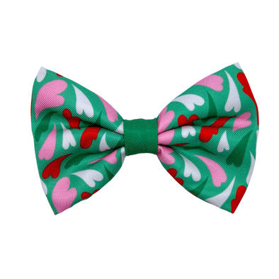 Amore - Dog Bowtie