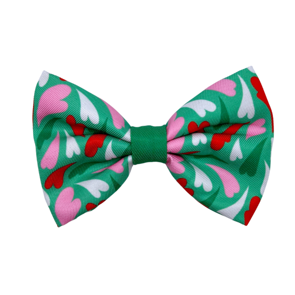 Amore - Dog Bowtie