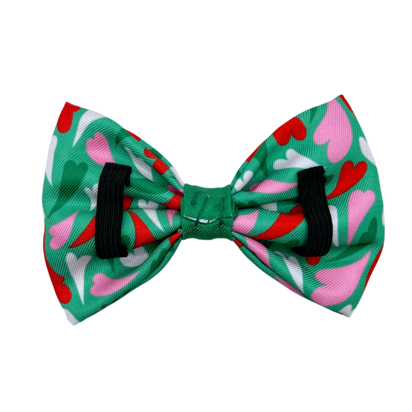 Amore - Dog Bowtie