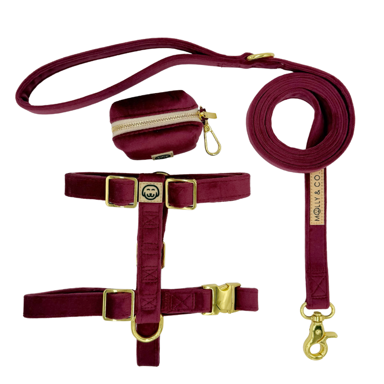 Merlot Velvet - Walking Bundle