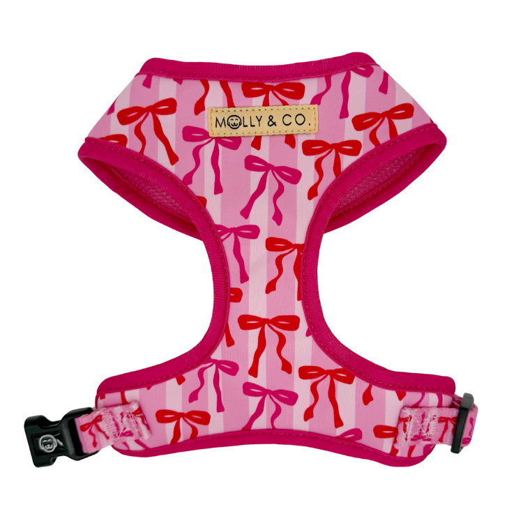 Coquette - Adjustable Dog Harness